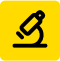 xrays dental index 1